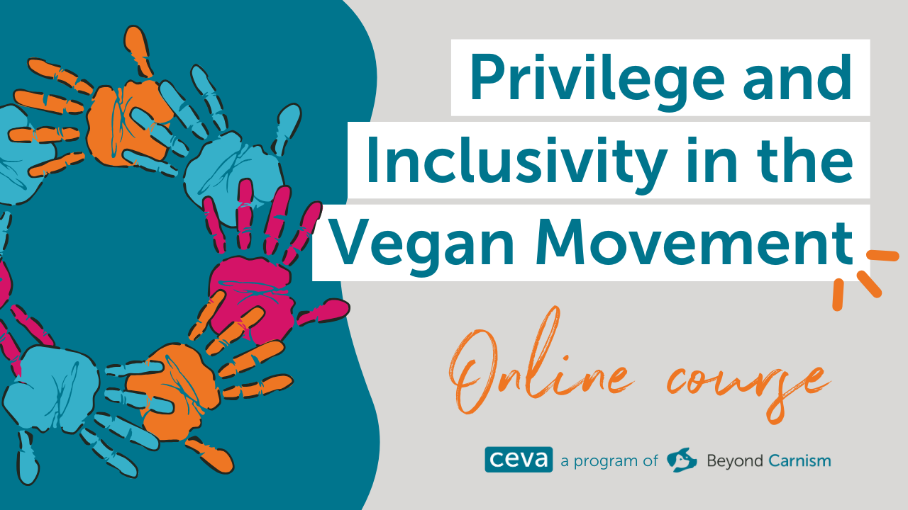 Privilege and Inclusivity in the Vegan Movement